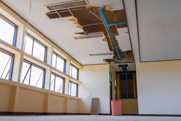  Herald Harbor, MD Water damage restoration Pros