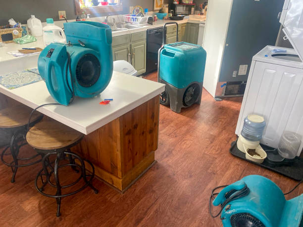 Best Residential water damage restoration  in Herald Harbor, MD