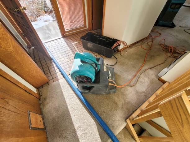 Best Carpet water damage restoration  in Herald Harbor, MD