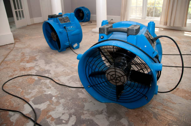 Best Local water damage restoration  in Herald Harbor, MD