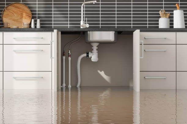 Best Commercial water damage restoration  in Herald Harbor, MD
