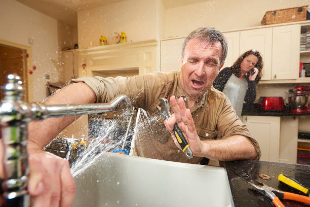 Best Sewage cleanup and water damage restoration  in Herald Harbor, MD